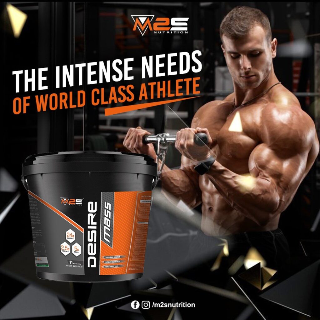 M2Smart: Premium Gym Supplements in India – Protein, Weight Gainers & More